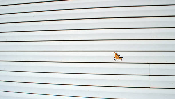 Best Siding for New Construction  in Airport, CA